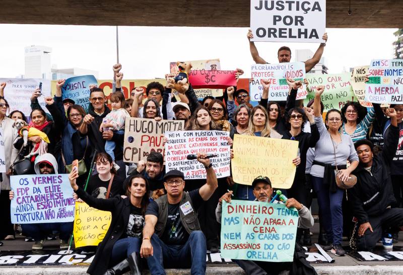 Manifestação na Avenida Paulista reúne centenas de pessoas em defesa dos animais e pede leis severas para maus tratos Manifestação na Avenida Paulista reúne centenas de pessoas em defesa dos animais e pede leis severas para maus tratos