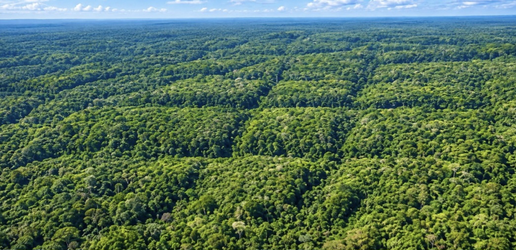 Ratanabá: Urandir Fernandes de Oliveira e Dakila Pesquisas mapeiam com LiDAR Ratanabá: Urandir Fernandes de Oliveira e Dakila Pesquisas mapeiam com LiDAR